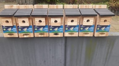 Boemerang vogelhuisjes